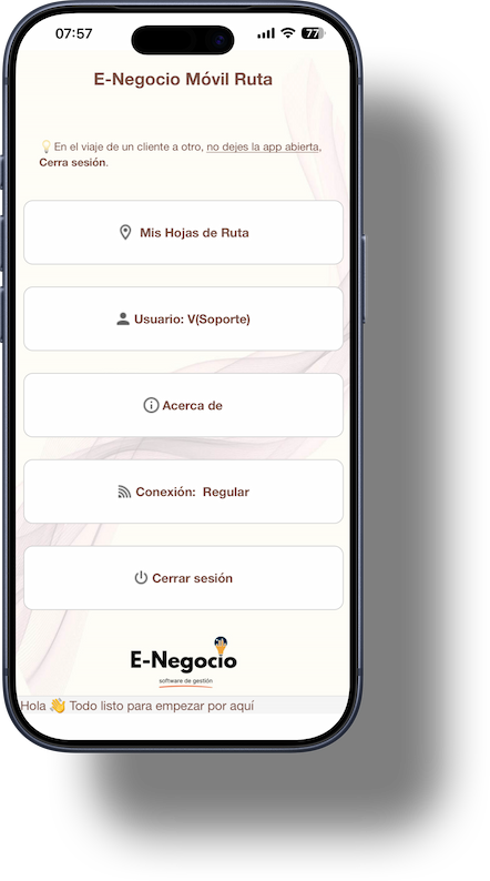 Captura de E-Negocio